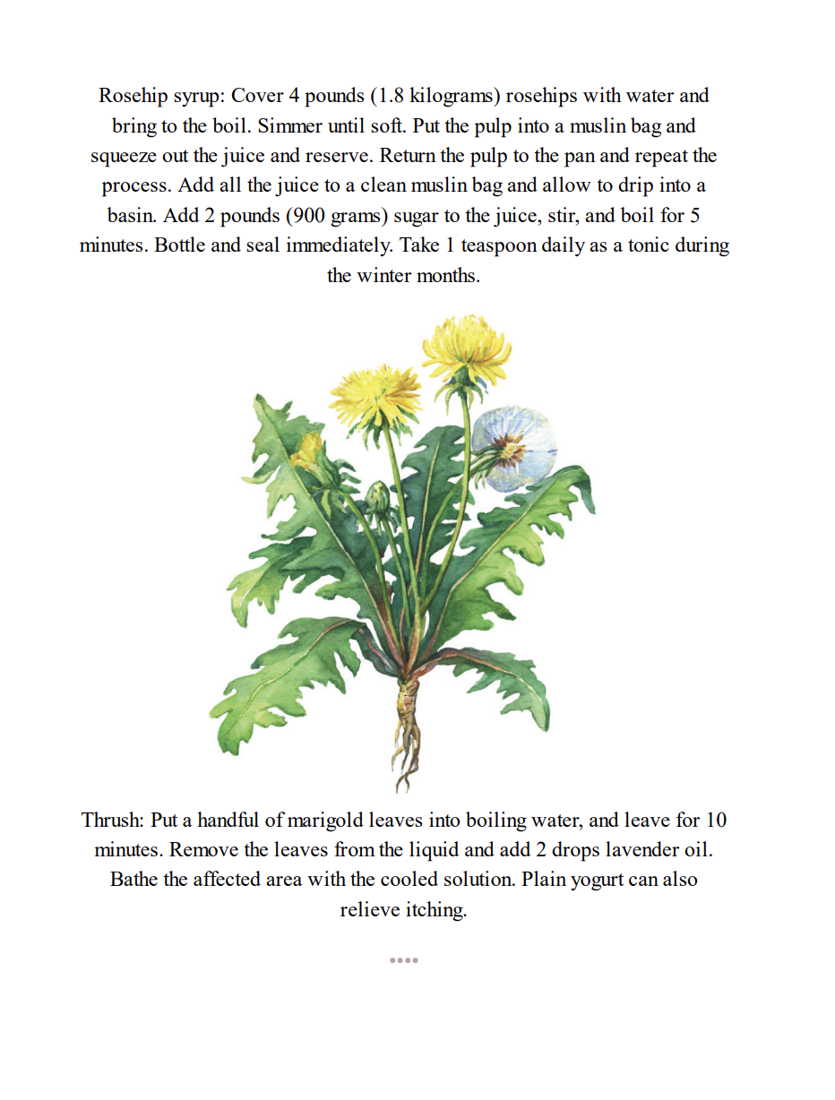 Sample page 2 from the 1000+ Home Remedies ebook